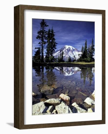 Mt. Rainier Reflected in Tarn, Mt. Rainier National Park, Washington, USA-Jamie & Judy Wild-Framed Photographic Print