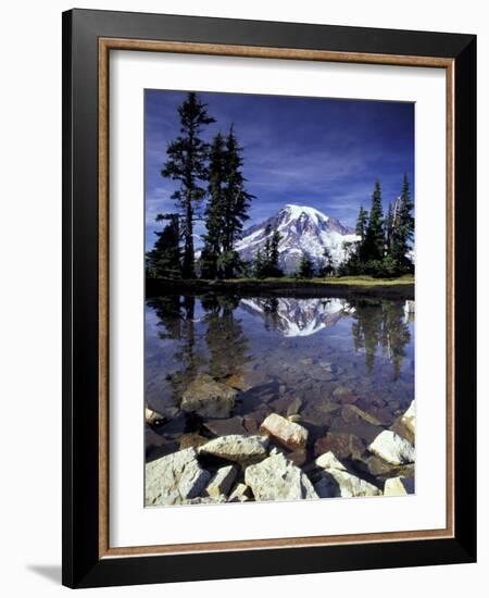 Mt. Rainier Reflected in Tarn, Mt. Rainier National Park, Washington, USA-Jamie & Judy Wild-Framed Photographic Print