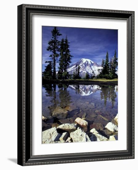 Mt. Rainier Reflected in Tarn, Mt. Rainier National Park, Washington, USA-Jamie & Judy Wild-Framed Photographic Print