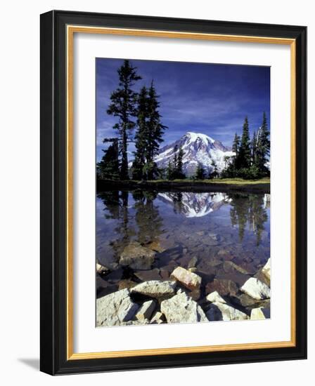 Mt. Rainier Reflected in Tarn, Mt. Rainier National Park, Washington, USA-Jamie & Judy Wild-Framed Photographic Print