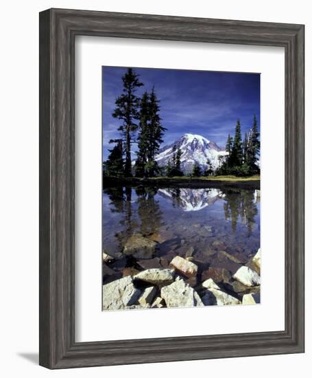 Mt. Rainier Reflected in Tarn, Mt. Rainier National Park, Washington, USA-Jamie & Judy Wild-Framed Photographic Print