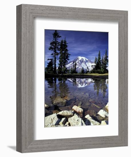 Mt. Rainier Reflected in Tarn, Mt. Rainier National Park, Washington, USA-Jamie & Judy Wild-Framed Photographic Print