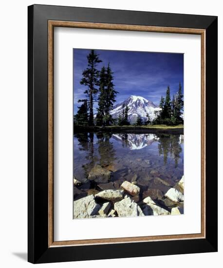 Mt. Rainier Reflected in Tarn, Mt. Rainier National Park, Washington, USA-Jamie & Judy Wild-Framed Photographic Print