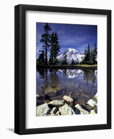 Mt. Rainier Reflected in Tarn, Mt. Rainier National Park, Washington, USA-Jamie & Judy Wild-Framed Photographic Print