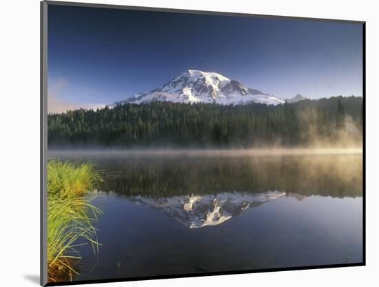 Mt. Rainier Reflecting in Lake, Mt. Rainier National Park, Washington, USA-Gavriel Jecan-Mounted Photographic Print