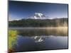 Mt. Rainier Reflecting in Lake, Mt. Rainier National Park, Washington, USA-Gavriel Jecan-Mounted Photographic Print