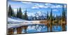 Mt. Rainier Vista-Michael Broom-Mounted Art Print