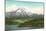 Mt. Rainier, Washington-null-Mounted Art Print