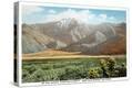 Stretched Canvas Print