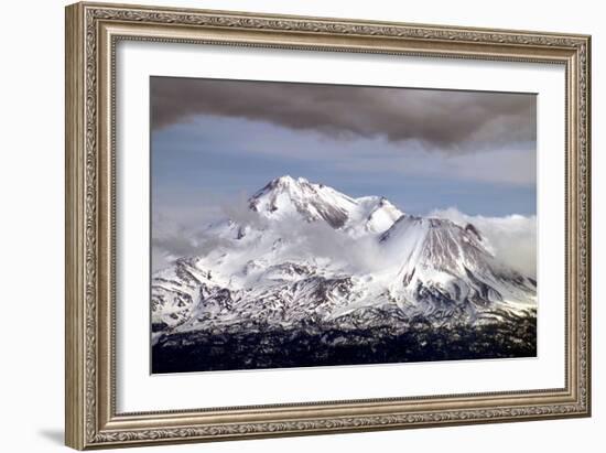 Mt Shasta Winter-Douglas Taylor-Framed Photo