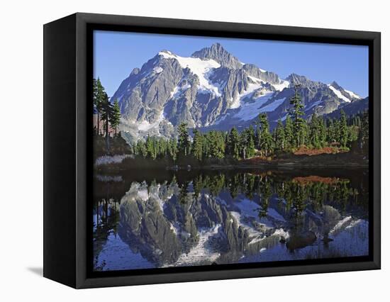 Mt. Shuksan in the Fall with Red Blueberry Bushes, North Cascades National Park, Washington, USA-Charles Sleicher-Framed Premier Image Canvas