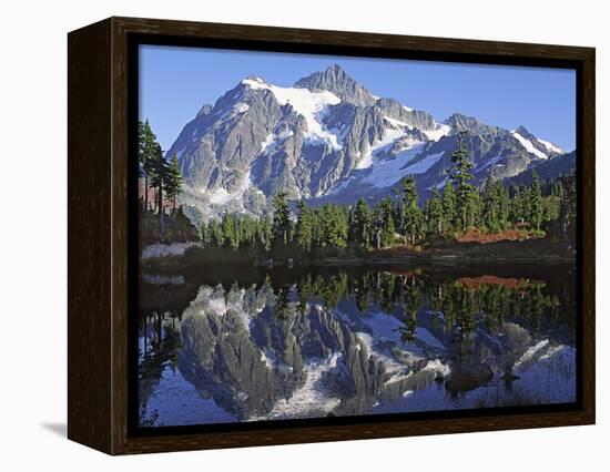 Mt. Shuksan in the Fall with Red Blueberry Bushes, North Cascades National Park, Washington, USA-Charles Sleicher-Framed Premier Image Canvas