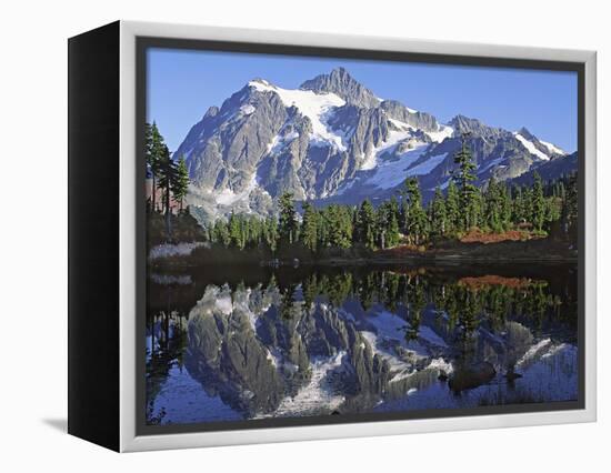 Mt. Shuksan in the Fall with Red Blueberry Bushes, North Cascades National Park, Washington, USA-Charles Sleicher-Framed Premier Image Canvas