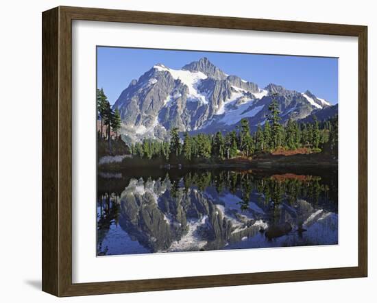 Mt. Shuksan in the Fall with Red Blueberry Bushes, North Cascades National Park, Washington, USA-Charles Sleicher-Framed Photographic Print