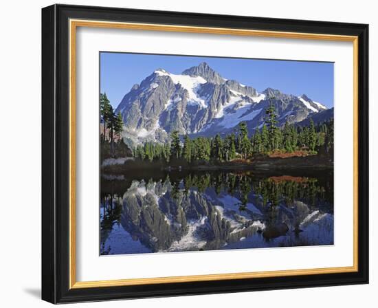 Mt. Shuksan in the Fall with Red Blueberry Bushes, North Cascades National Park, Washington, USA-Charles Sleicher-Framed Photographic Print