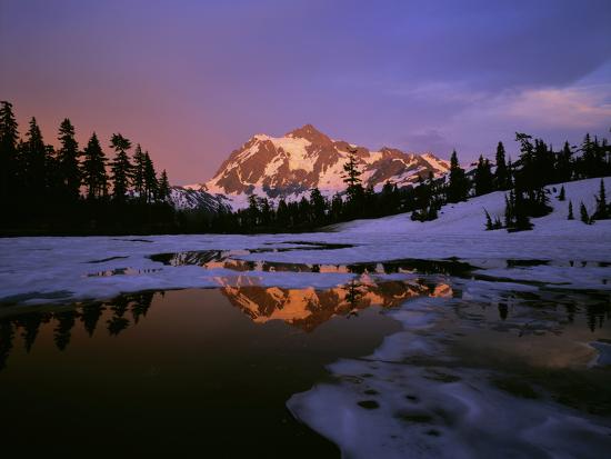 Premium Photographic Print, , large