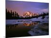 Premium Photographic Print