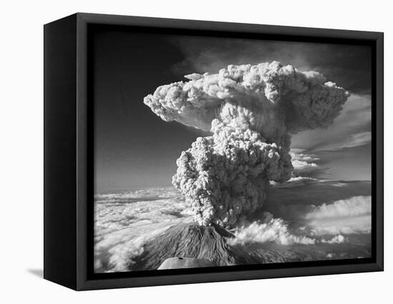 Mt. St. Helens Erupting-Bettmann-Framed Premier Image Canvas