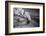 Mt. St. Helens Erupting-Bettmann-Framed Photographic Print