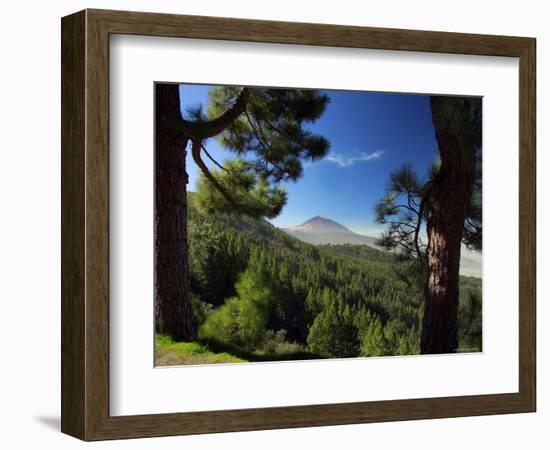 Mt. Teide, Tenerife, Canary Islands, Spain-Alan Copson-Framed Photographic Print