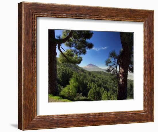 Mt. Teide, Tenerife, Canary Islands, Spain-Alan Copson-Framed Photographic Print