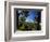 Mt. Teide, Tenerife, Canary Islands, Spain-Alan Copson-Framed Photographic Print