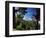 Mt. Teide, Tenerife, Canary Islands, Spain-Alan Copson-Framed Photographic Print