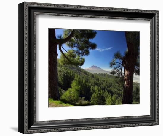 Mt. Teide, Tenerife, Canary Islands, Spain-Alan Copson-Framed Photographic Print