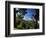 Mt. Teide, Tenerife, Canary Islands, Spain-Alan Copson-Framed Photographic Print