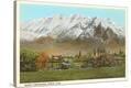 Stretched Canvas Print