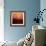 Mt Vision Sunset-Lance Kuehne-Framed Photographic Print displayed on a wall