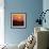 Mt Vision Sunset-Lance Kuehne-Framed Photographic Print displayed on a wall