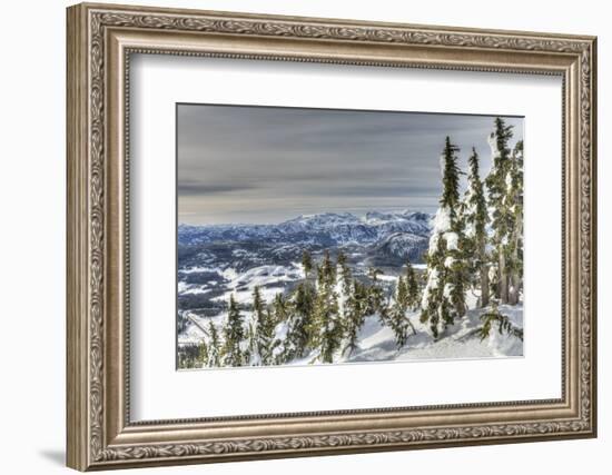 Mt. Washington Ski Resort bordering Strathcona Provincial Park, Vancouver Island, British Columbia,-Stuart Westmorland-Framed Photographic Print