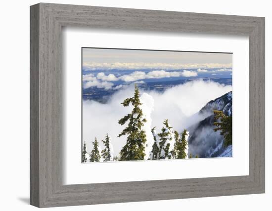 Mt. Washington, Vancouver Island, British Columbia, Canada-Stuart Westmorland-Framed Photographic Print