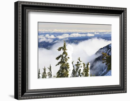 Mt. Washington, Vancouver Island, British Columbia, Canada-Stuart Westmorland-Framed Photographic Print