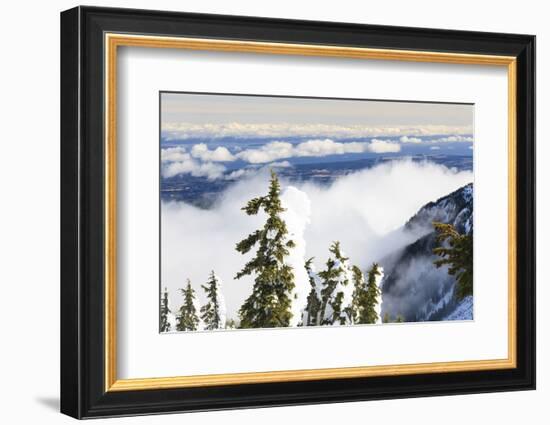 Mt. Washington, Vancouver Island, British Columbia, Canada-Stuart Westmorland-Framed Photographic Print