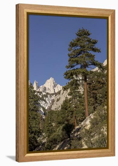 Mt. Whitney, Alabama Hills, Lone Pine, California-Rob Sheppard-Framed Premier Image Canvas