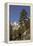 Mt. Whitney, Alabama Hills, Lone Pine, California-Rob Sheppard-Framed Premier Image Canvas