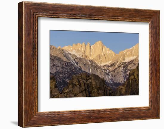 Mt. Whitney at Dawn with Rocks of Alabama Hills, Lone Pine, California-Rob Sheppard-Framed Photographic Print