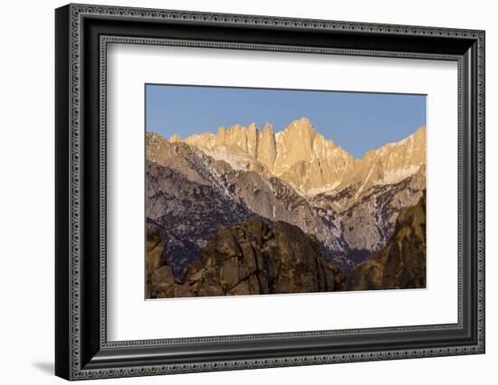 Mt. Whitney at Dawn with Rocks of Alabama Hills, Lone Pine, California-Rob Sheppard-Framed Photographic Print