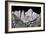 Mt Whitney BW-Douglas Taylor-Framed Photo