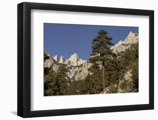 Mt. Whitney, Eastern Sierras, Lone Pine, California-Rob Sheppard-Framed Photographic Print