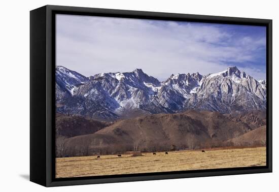 Mt. Whitney Range II-Rita Crane-Framed Premier Image Canvas