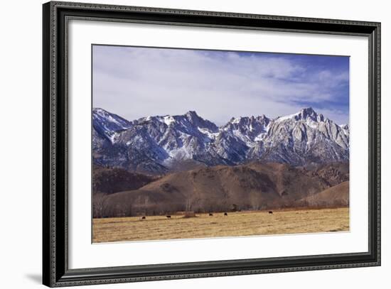 Mt. Whitney Range II-Rita Crane-Framed Photographic Print