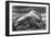 Mt Williamson I BW-Douglas Taylor-Framed Photo