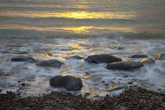 Sun Reflecting on Sea Surface with Rocks on Beach, Scotland, UK, June 2009-Mu?oz-Premier Image Canvas