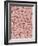 Mucous Membrane from Colon of a Rat-Micro Discovery-Framed Photographic Print