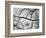 Mud Crack, High Sierra, California, 1960-Brett Weston-Framed Photographic Print