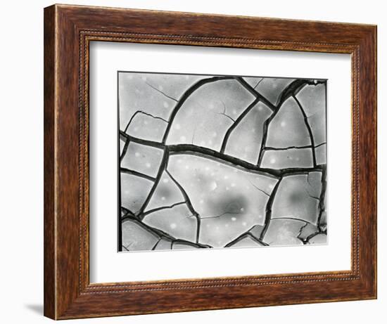 Mud Crack, High Sierra, California, 1960-Brett Weston-Framed Photographic Print