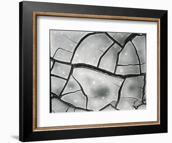 Mud Crack, High Sierra, California, 1960-Brett Weston-Framed Photographic Print